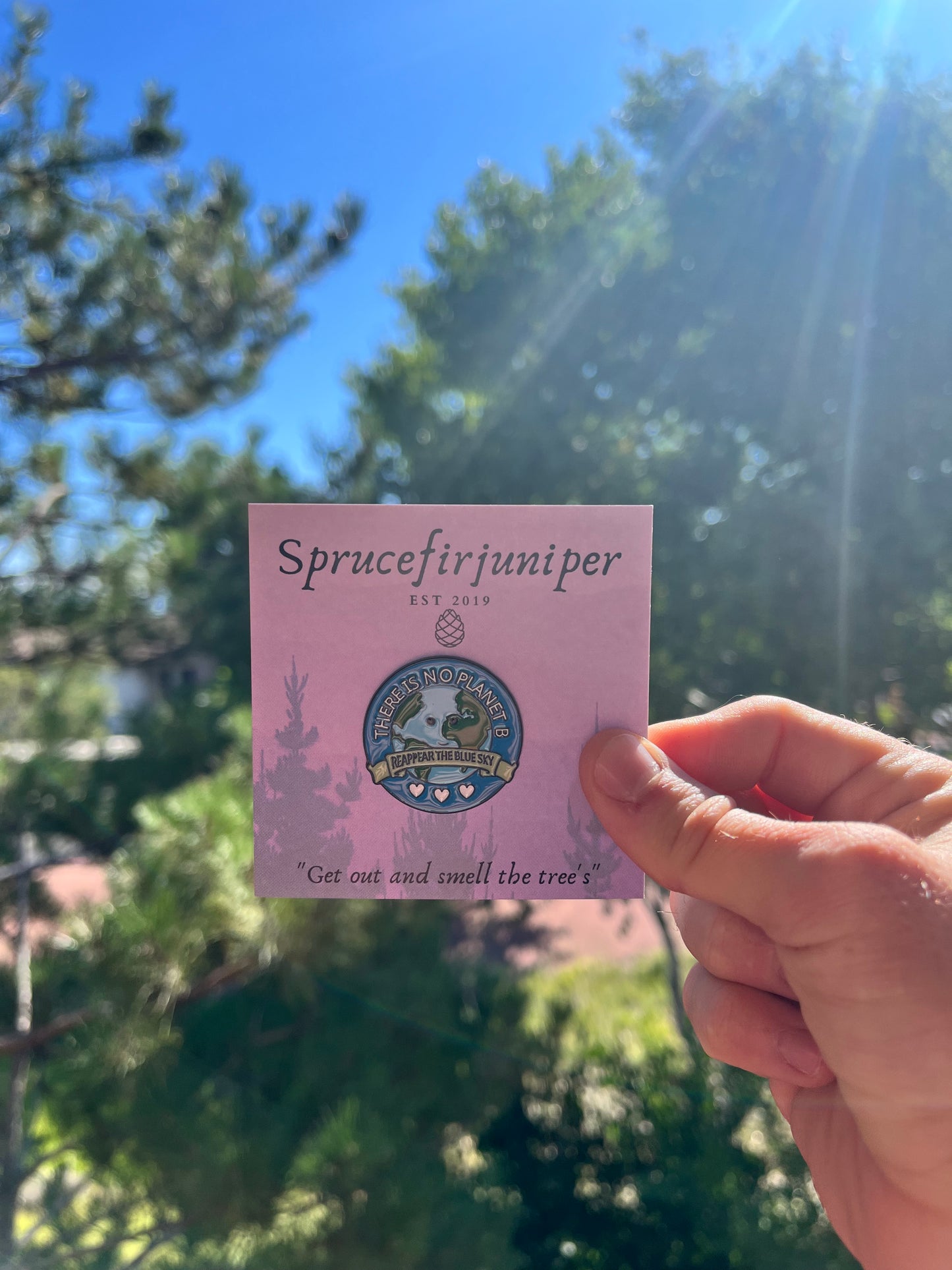 No Planet B Pin