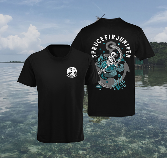 Turtles Voyage